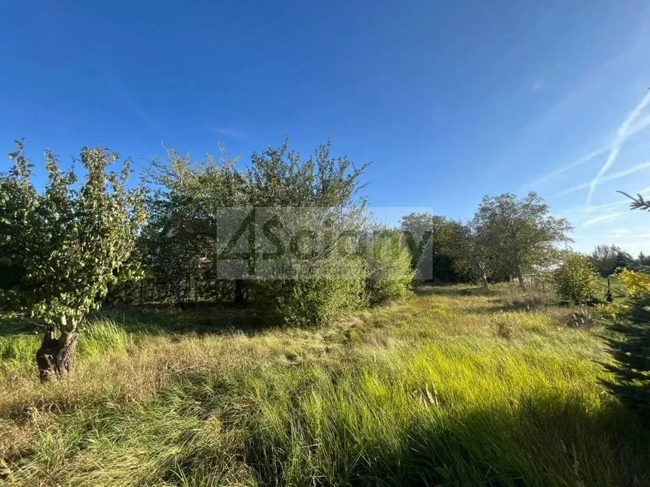 Działka 1 243,00 m², oferta nr , 10250/3098/OGS, Domaniewek Pierwszy