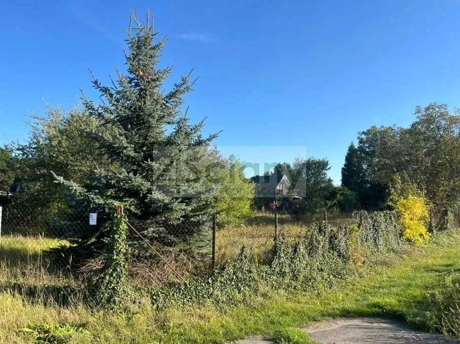 Działka 1 243,00 m², oferta nr , 10250/3098/OGS, Domaniewek Pierwszy