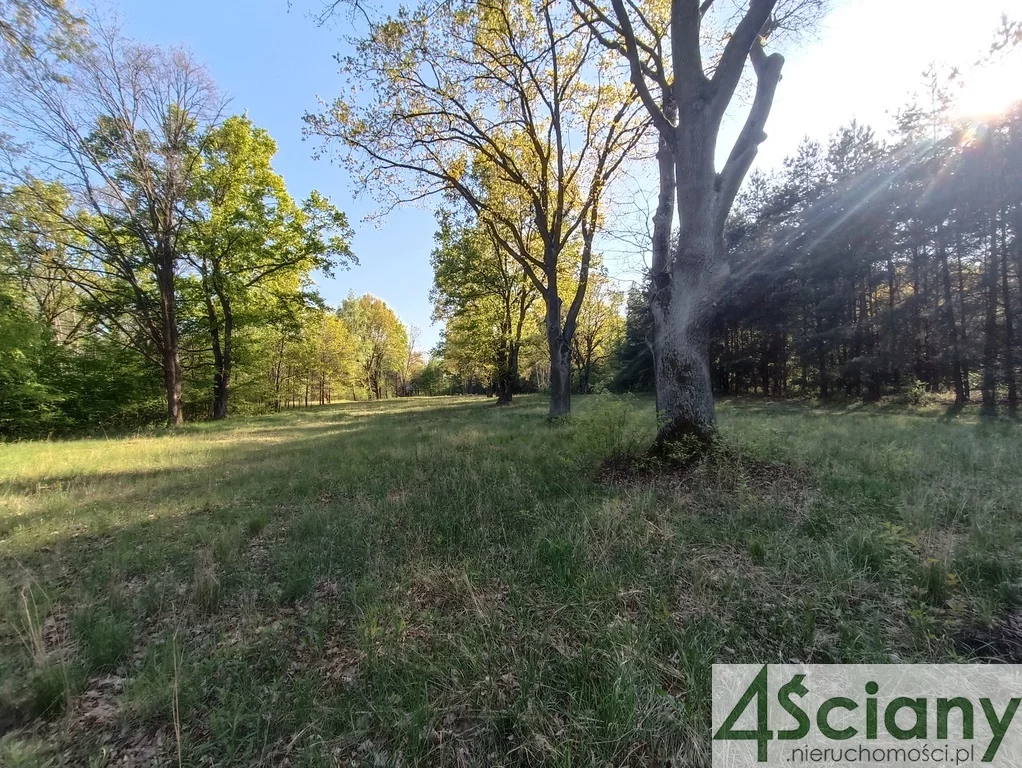 Działka 1 951,00 m², Jabłonna, Sprzedaż