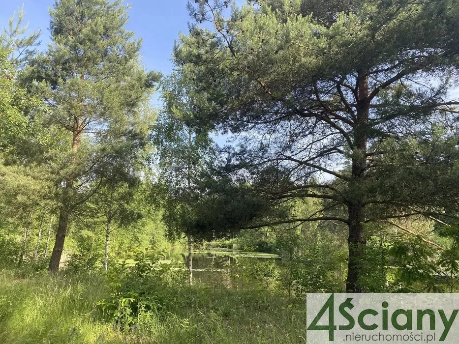 Działka 21 811,00 m², oferta nr , 8924/3098/OGS, Janinów