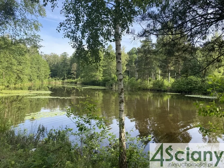 Działka 21 811,00 m², oferta nr , 8924/3098/OGS, Janinów