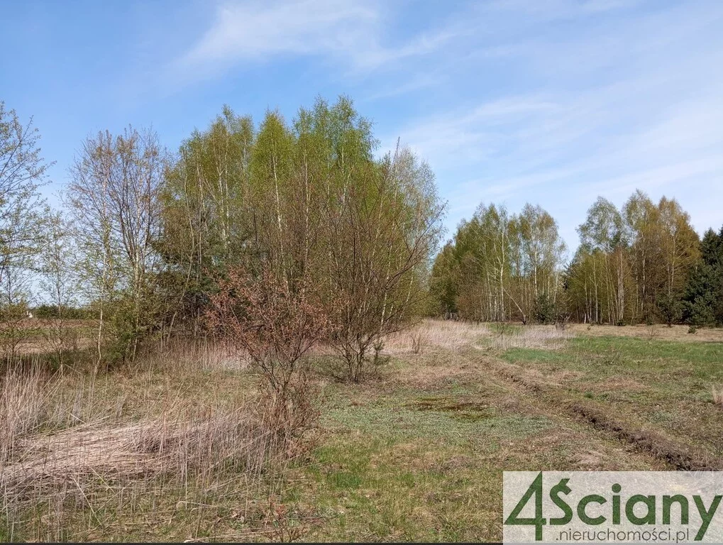 Apartamenty 10162/3098/OGS Jasienica