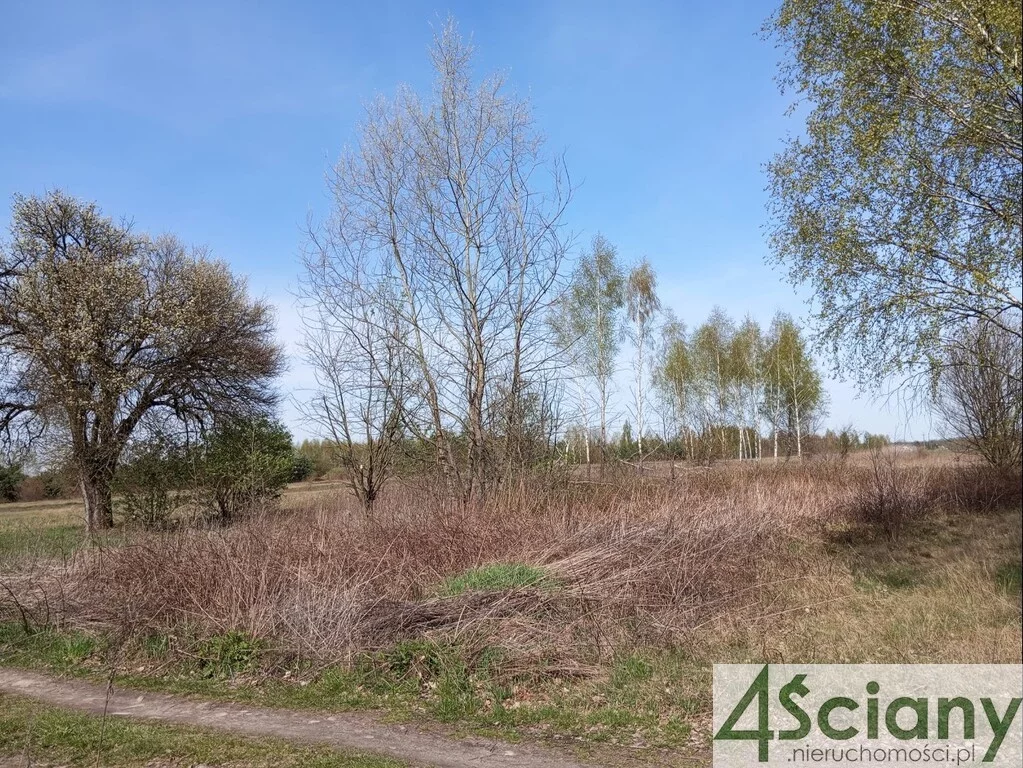 10162/3098/OGS - zdjęcie nr 1