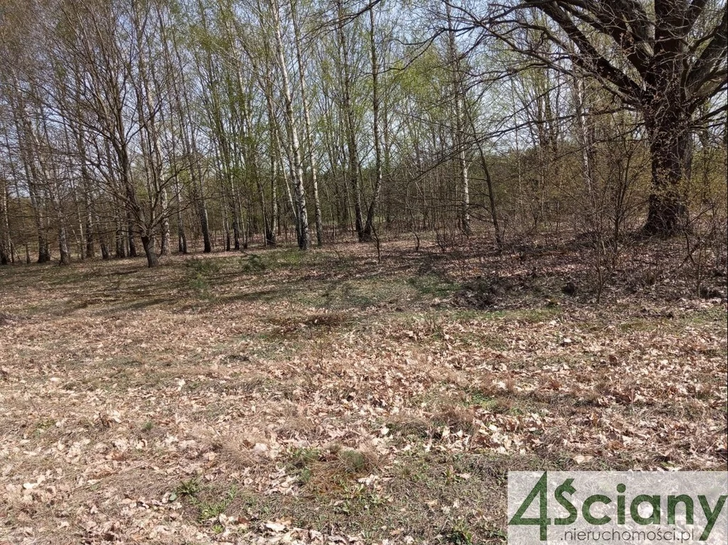 Działka 700,00 m², oferta nr , 10162/3098/OGS, Jasienica