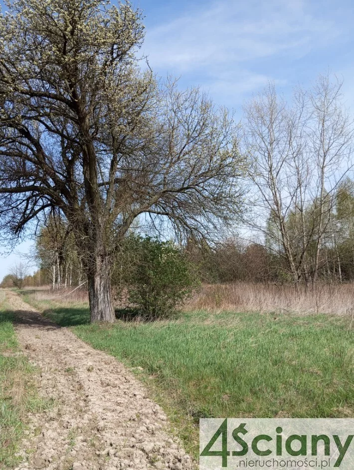 Działka 750,00 m², oferta nr , 10189/3098/OGS, Jasienica