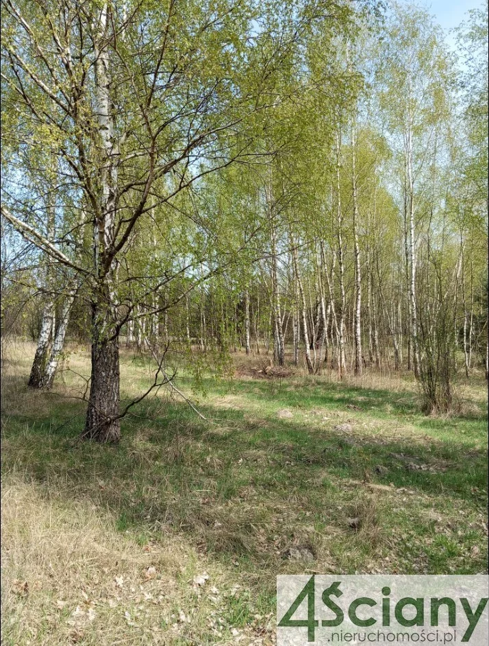Działka 750,00 m², oferta nr , 10189/3098/OGS, Jasienica
