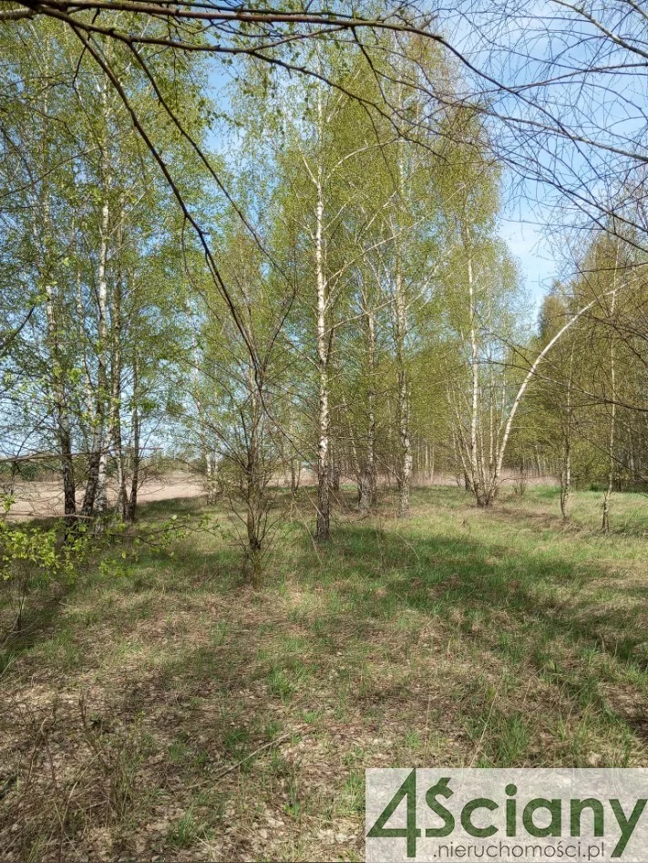 Apartamenty 10190/3098/OGS Jasienica