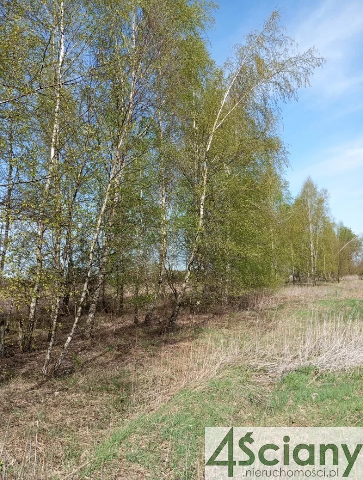 Działka 16 000,00 m², oferta nr , 10190/3098/OGS, Jasienica