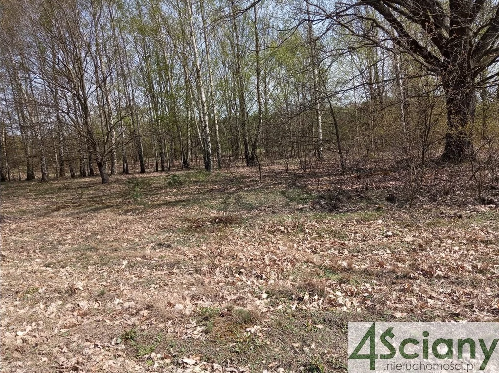 Działka 16 000,00 m², oferta nr , 10190/3098/OGS, Jasienica