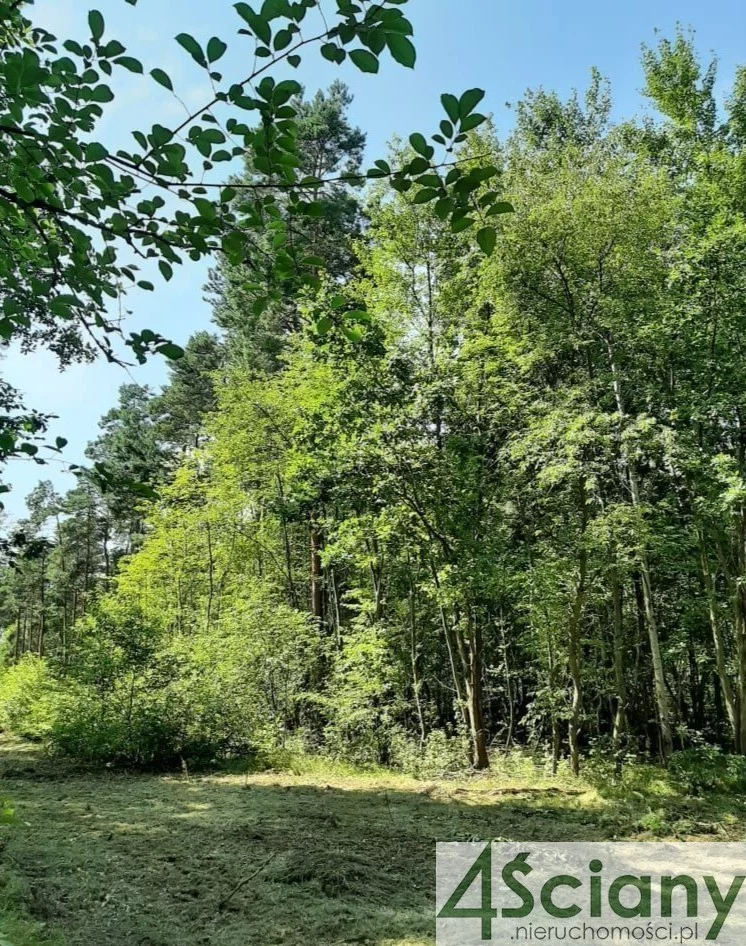 Działka 1 600,00 m², oferta nr , 7457/3098/OGS, Kady
