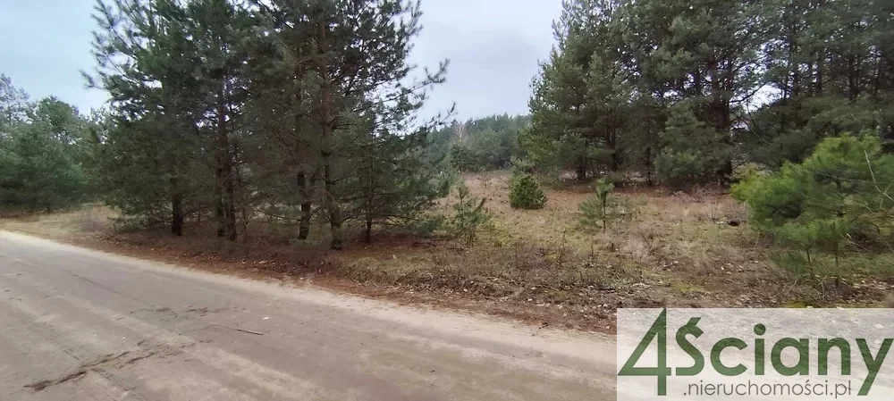 9844/3098/OGS - zdjęcie nr 1