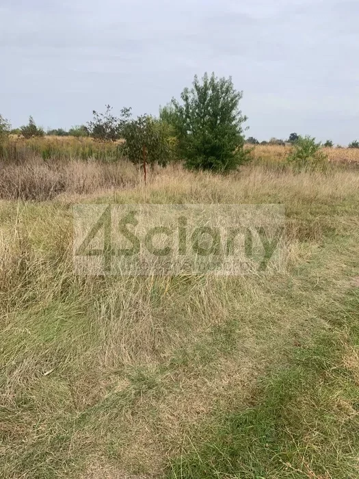 Działka 1 784,00 m², oferta nr , 10269/3098/OGS, Kozery