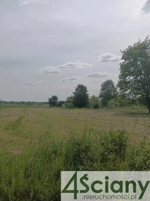 8769/3098/OGS - zdjęcie nr 0