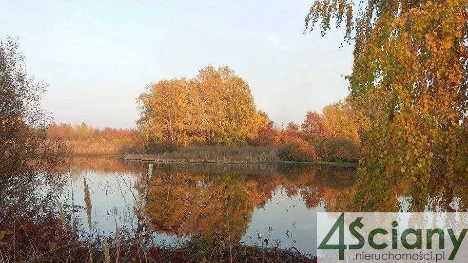 Działka 81 200,00 m², oferta nr , 9349/3098/OGS, Lewiczyn