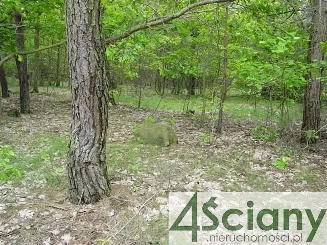 Działka 8 000,00 m², oferta nr , 8858/3098/OGS, Marynin
