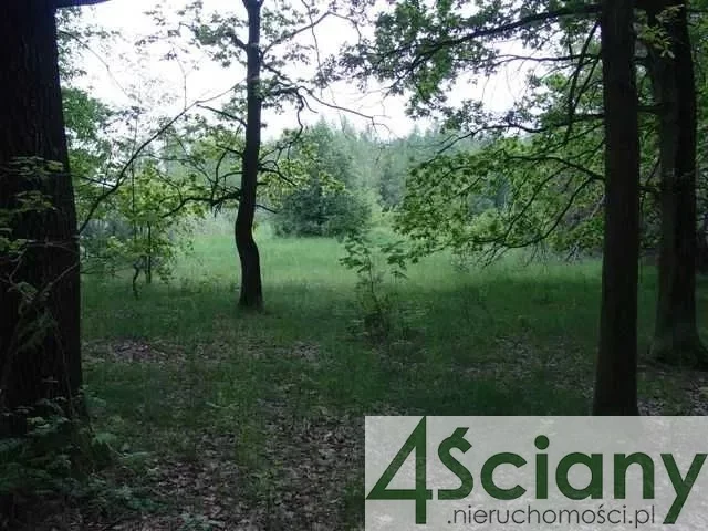 Działka 8 000,00 m², oferta nr , 8858/3098/OGS, Marynin