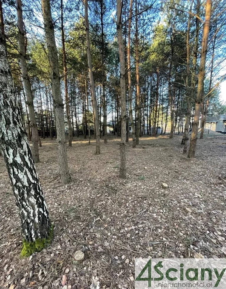 9834/3098/OGS - zdjęcie nr 2