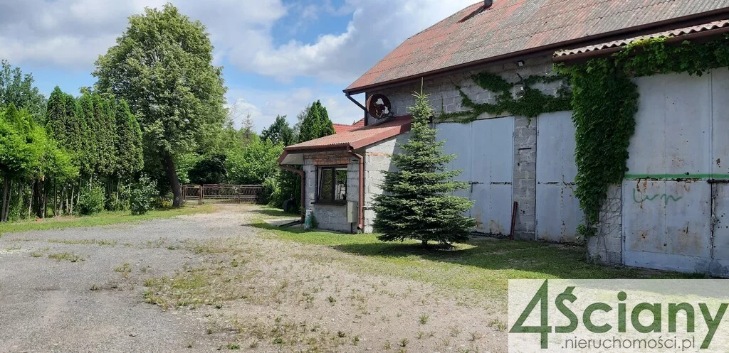10051/3098/OGS - zdjęcie nr 4