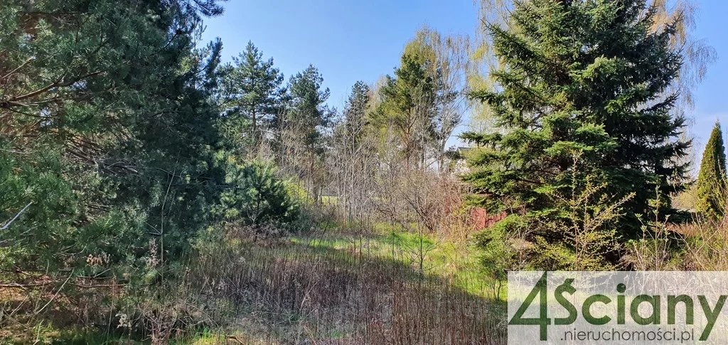 Działka 4 462,00 m², oferta nr , 8129/3098/OGS, Orzeszyn