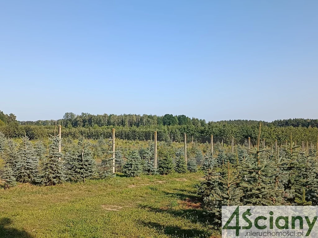 Działka 11 600,00 m², oferta nr , 6214/3098/OGS, Osuchów