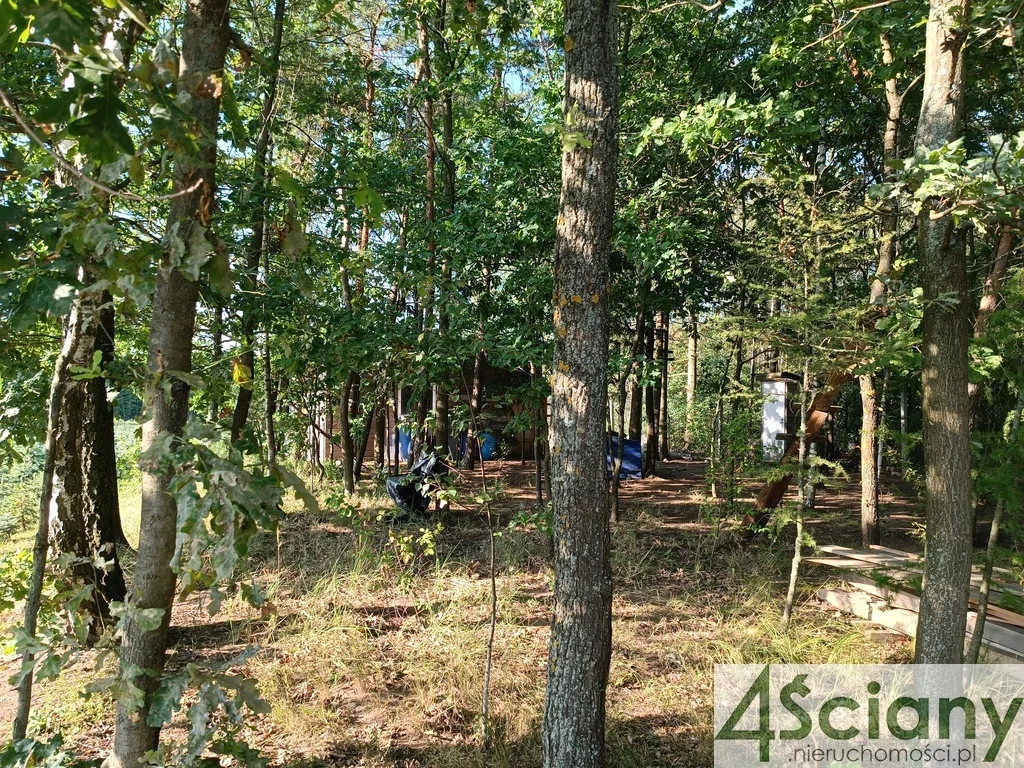 Działka 11 600,00 m², oferta nr , 6214/3098/OGS, Osuchów