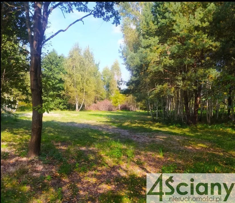 Działka 5 000,00 m², oferta nr , 9168/3098/OGS, Pieńki Zarębskie