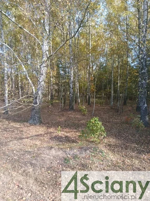 Działka 1 736,00 m², oferta nr , 9789/3098/OGS, Powązki