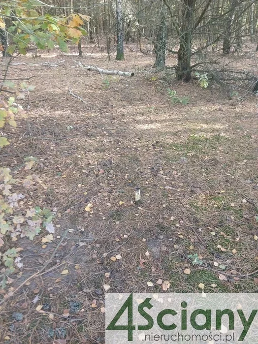 9790/3098/OGS - zdjęcie nr 0