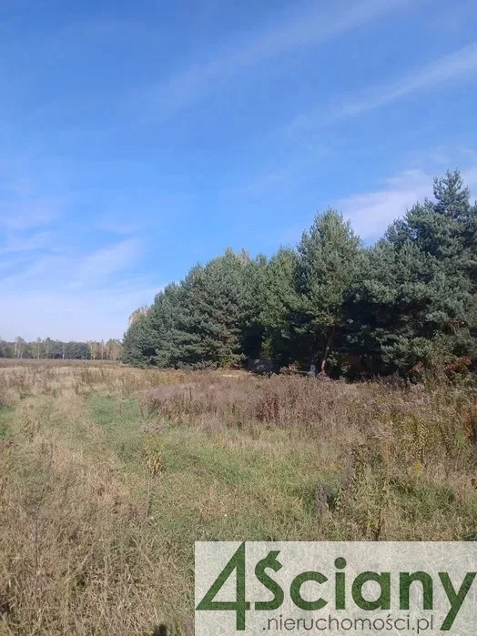 9790/3098/OGS - zdjęcie nr 4
