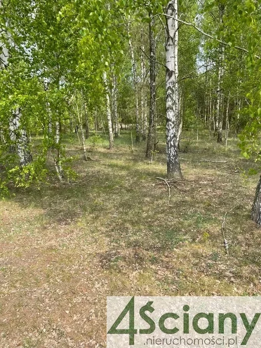 10027/3098/OGS - zdjęcie nr 5