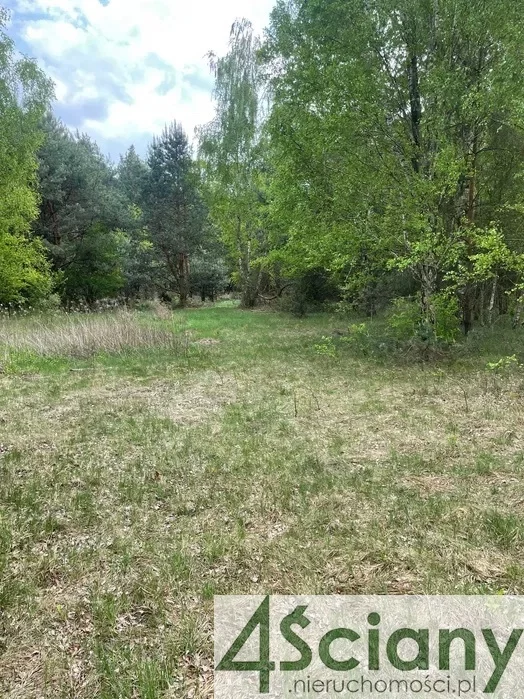 10028/3098/OGS - zdjęcie nr 4