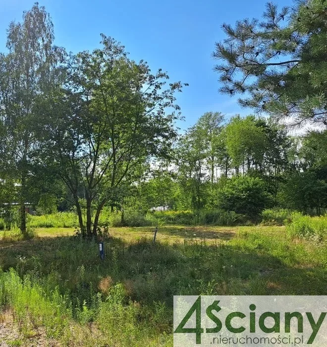 Apartamenty 10138/3098/OGS Radonie