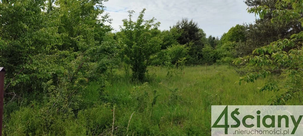 Apartamenty 10031/3098/OGS Rusiec
