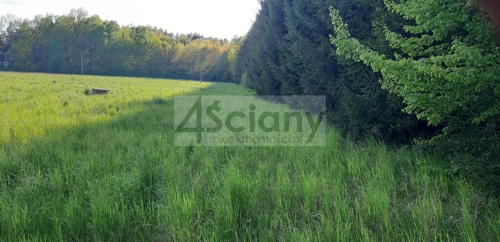 Działka 950,00 m², oferta nr , 10103/3098/OGS, Rusiec