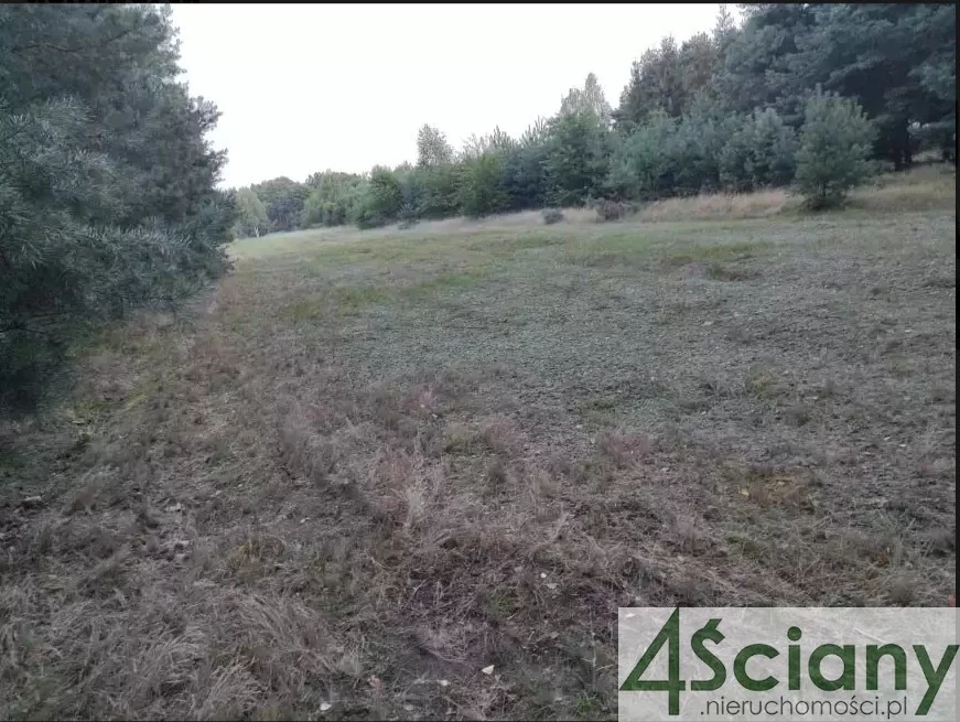 Działka 3 000,00 m², oferta nr , 7607/3098/OGS, Stare Załubice