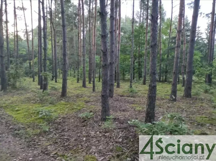 Działka 3 000,00 m², oferta nr , 7607/3098/OGS, Stare Załubice