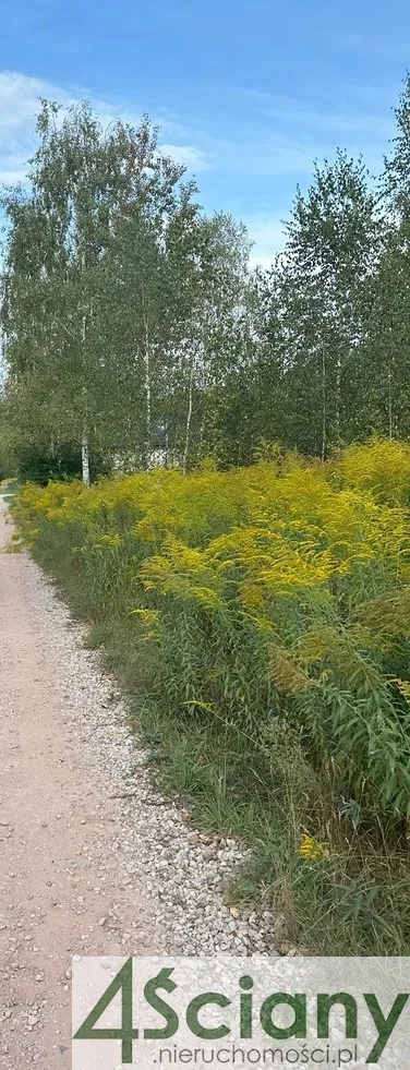 Apartamenty 10194/3098/OGS Strzeniówka