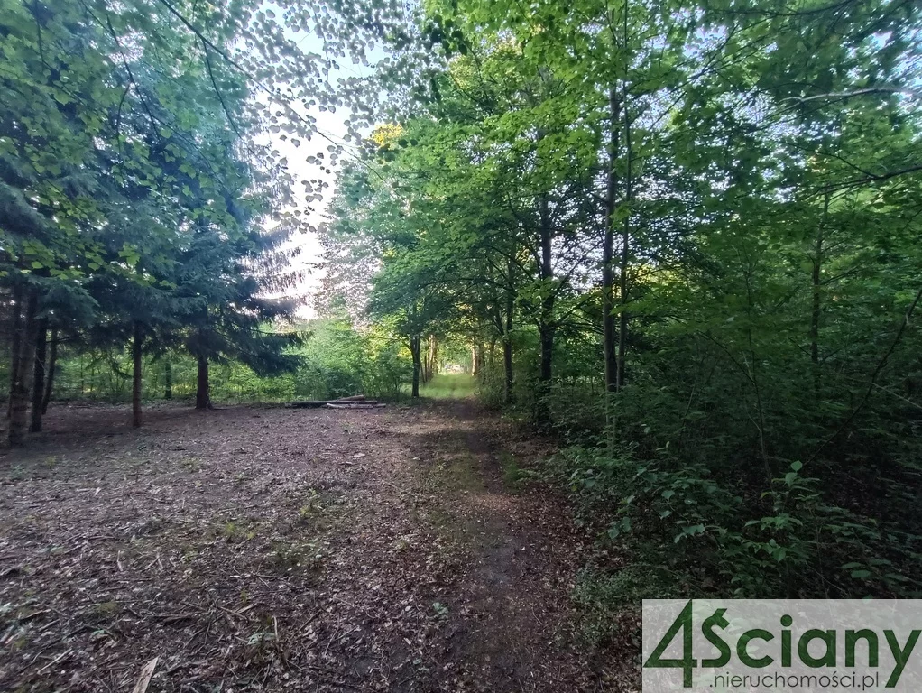 Działka 1 351,00 m², oferta nr , 10068/3098/OGS, Sulejówek