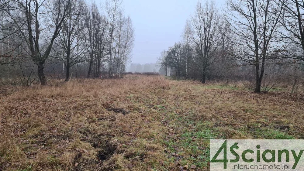 Apartamenty 9977/3098/OGS Tłuszcz