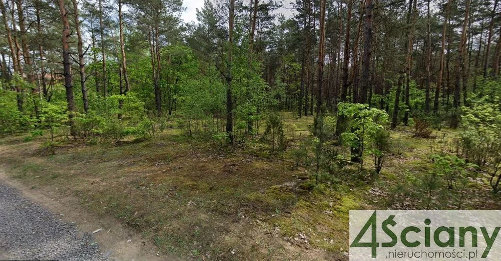 Apartamenty 8517/3098/OGS Truskaw