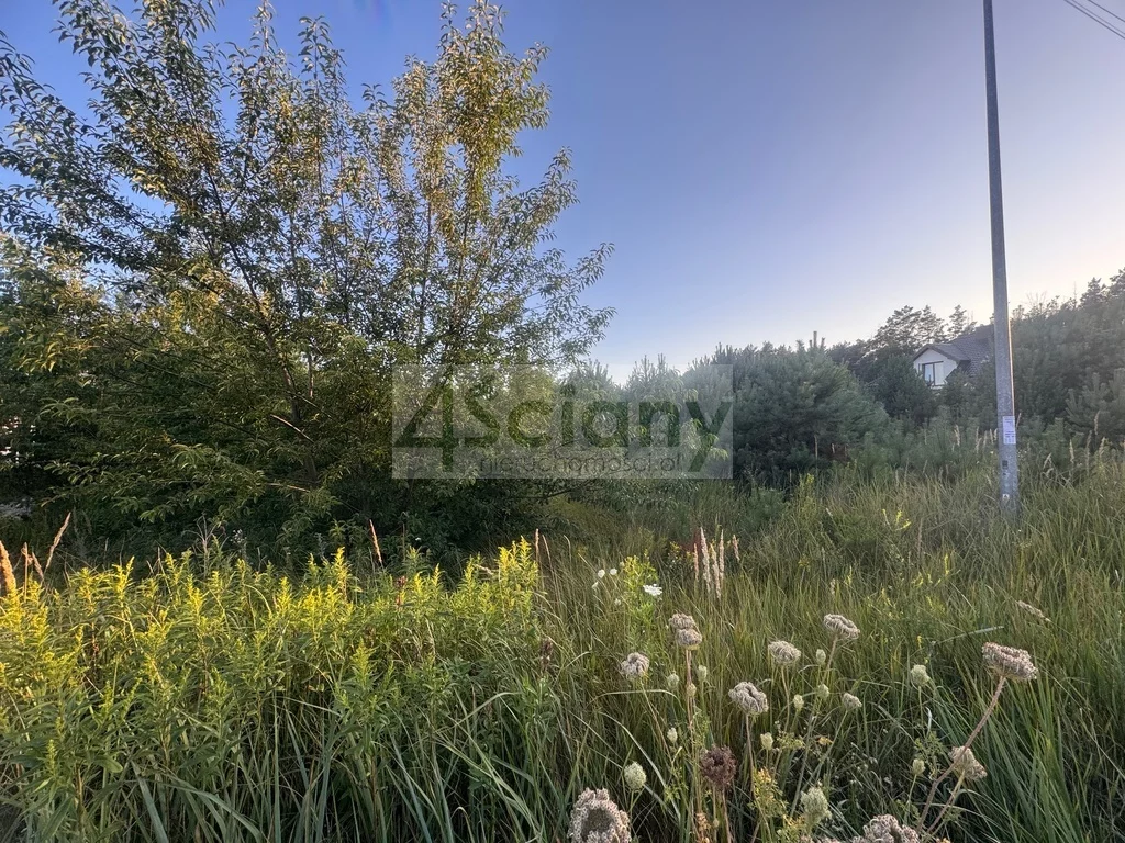 Działka 1 231,00 m², oferta nr , 9572/3098/OGS, Wieliszew