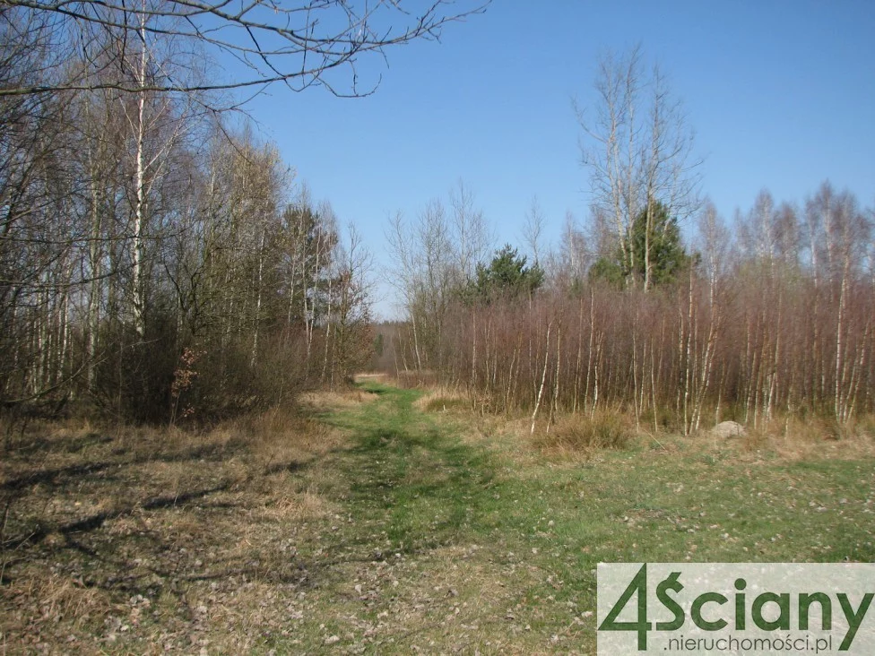 Działka 4 000,00 m², oferta nr , 8033/3098/OGS, Wierzchowisko