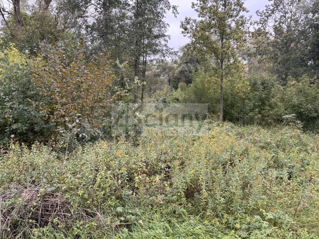 10260/3098/OGS - zdjęcie nr 0