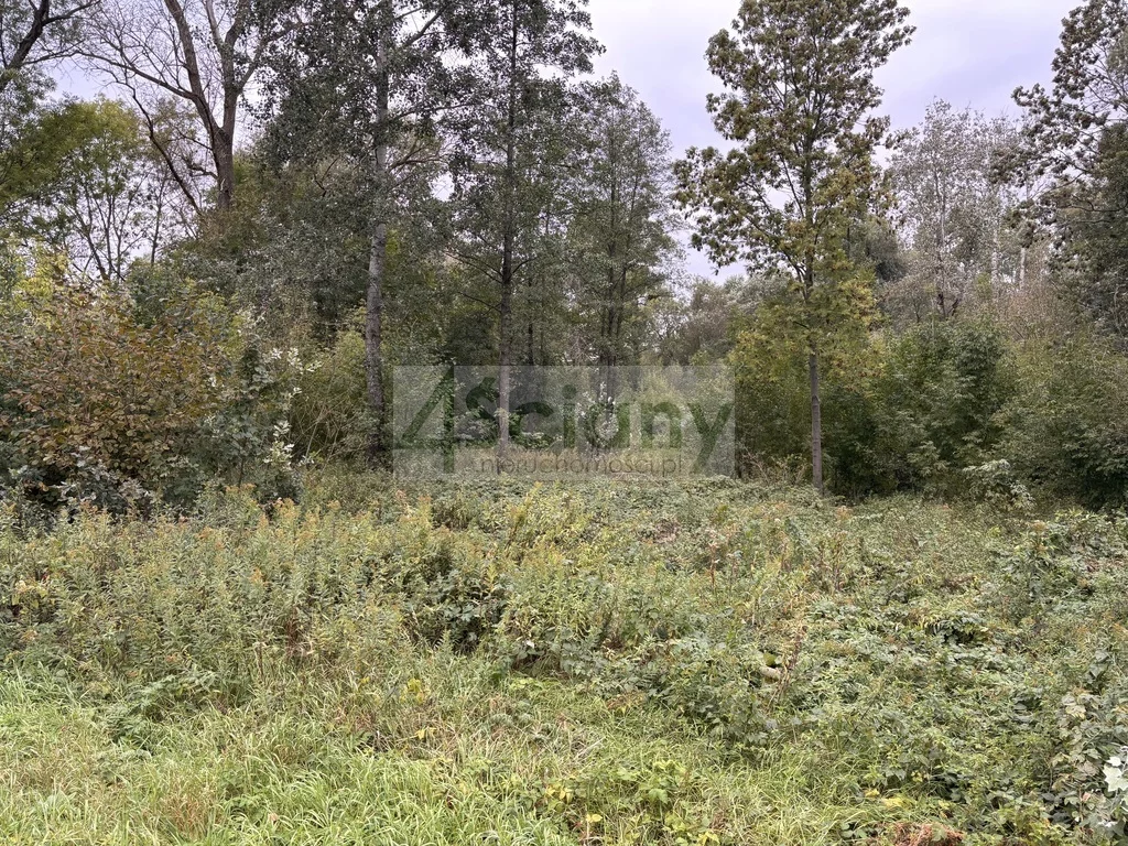 10260/3098/OGS - zdjęcie nr 1