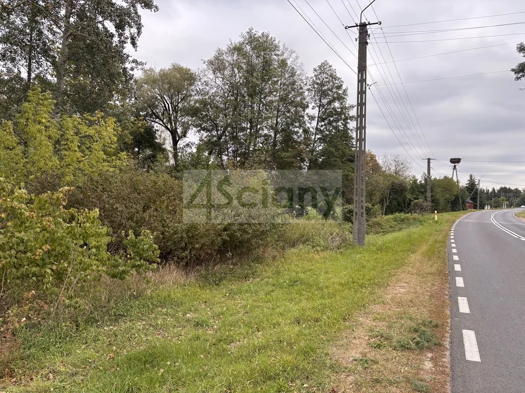 10260/3098/OGS - zdjęcie nr 5