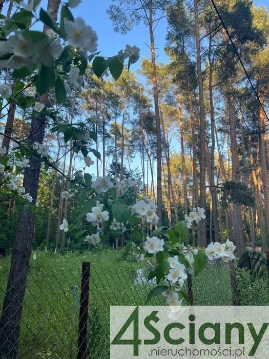 Apartamenty 10032/3098/OGS Władysławów
