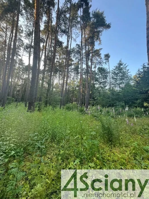10032/3098/OGS - zdjęcie nr 0