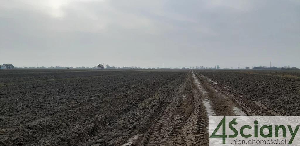 9419/3098/OGS - zdjęcie nr 0