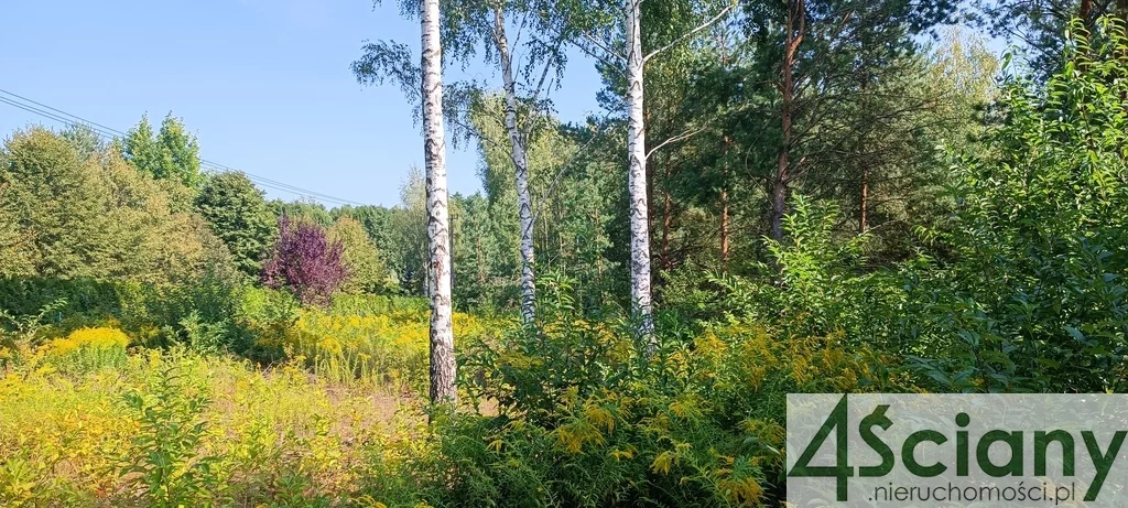 Działka 35 728,00 m², oferta nr , 9400/3098/OGS, Zalesie