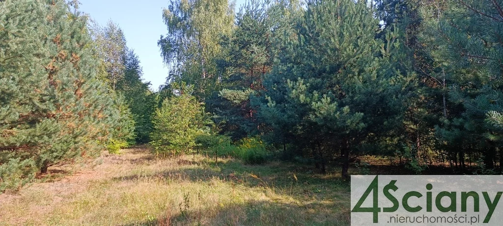 Działka 35 728,00 m², oferta nr , 9400/3098/OGS, Zalesie